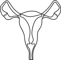 Organs of the Female Reproductive System in Doodle Style vector