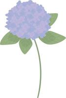 elemento decorativo flor de hortensia morada vector