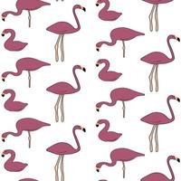 flamingo seamless pattern perfect for background or wallpaper vector