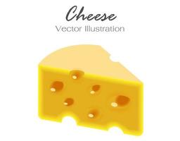 pedazo de queso aislado sobre fondo blanco vector