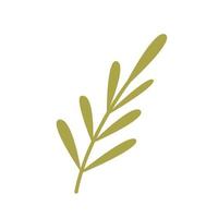 Simple plant, twig with leaves, vector flat design element