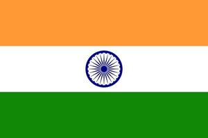 tamaño estándar de la bandera india en asia. ilustración vectorial vector
