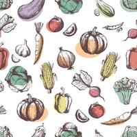 Vegetables seamless pattern. Hand draw vintage vegetables. Healthy Food Seamless Pattern. Sketch healthy vegetarian food. Harvest.