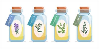 Set of glass bottles with essential oils. Orange, eucalyptycus, peppermint, tea tree oils. Label, sticker. Vector illustration isolated on white background.