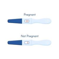 Pregnancy or ovulation positive and negative test isolated on white background. vector