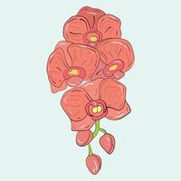 Vector tropical orchid flower hand-drawn