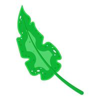 Tropical green leaf. The tropics. Vector illustration.
