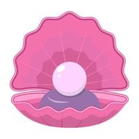 Open shell with pearls. Vector illustration