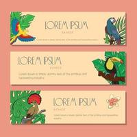 un conjunto de pancartas vectoriales horizontales sobre el tema de la jungla tropical con pájaros coloridos vector