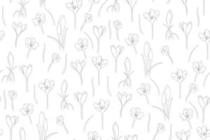 Seamless pattern of crocuses in one line vector