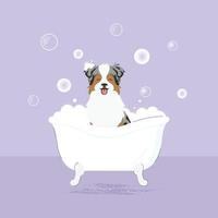 The banner of cute dog with bubbles in kawaii, flat vector style. Illustation of pet grooming for content, label, banner,graphic and greeting card. Aussie. Australian shepherd. Border collie.