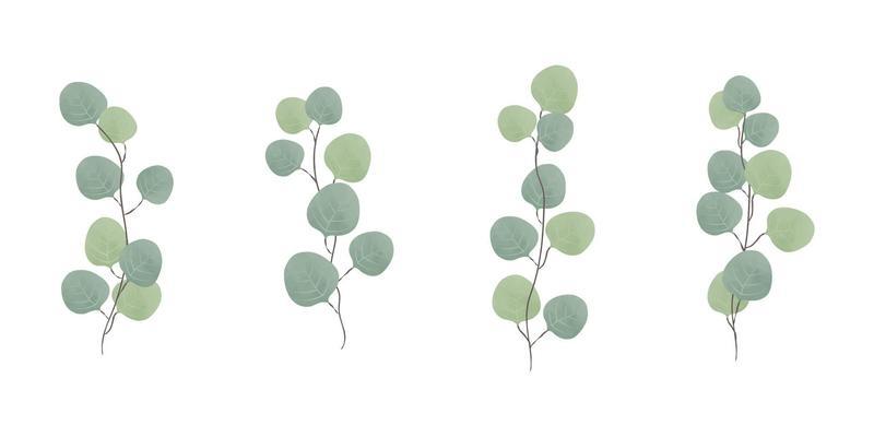 Eucalyptus, gum tree, foliage, natural leaves and branches. Designer set bundle hand drawn in watercolor style. Vector decorative beautiful elegant illustration