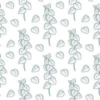 Eucalyptus twigs seamless pattern vector illustration