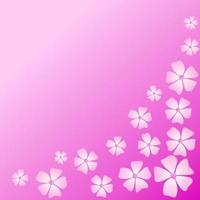 Template for a greeting card with pink flowers on pink background vector