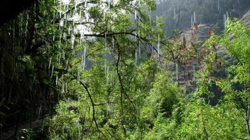 Water falling from above on a hiking trail path on a sunny day. Beautiful places, travel the world and discover its wonders. Nomad life. Abstract background and textures. video