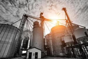 Agricultural Silos in Ontario, Canada photo