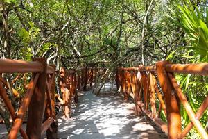 Mexico tourism destination, caves and pools of Cenote Casa Tortuga near Tulum and Playa Del Carmen