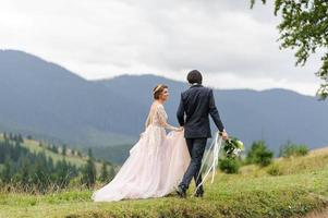 The bride and groom walk by the hand against the backdrop of the mountains. Wedding photography. photo