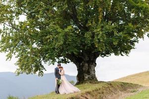 la novia y el novio se abrazan bajo un viejo roble. sesión de fotos de boda en las montañas.