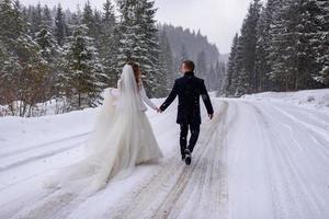 The groom leads his bride by the hand to a lonely old beech. Winter wedding. Place for a logo. photo