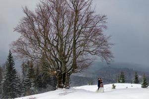 The groom leads his bride by the hand to a lonely old beech. Winter wedding. Place for a logo. photo