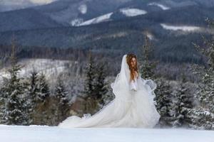 The groom leads his bride by the hand to a lonely old beech. Winter wedding. Place for a logo. photo