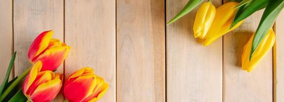 Fresh multicolored tulips on wooden background. photo