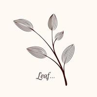 Beautiful Monochrome Contour Leaf, Floral Design Element. Esthetic Poster