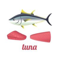 tuna yellowfin isolated vector illustration