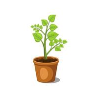 conjunto de plantas en macetas, vector de diseño plano.