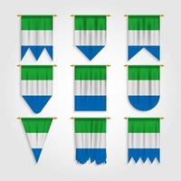 bandera de sierra leona en diferentes formas vector