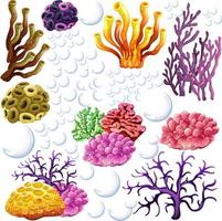 Different types of reef vector