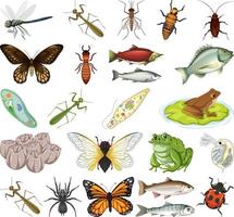 Different kinds of insects and animals on white background vector