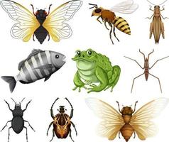 diferentes tipos de insectos y animales sobre fondo blanco vector