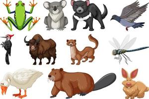 colección de diferentes tipos de animales vector