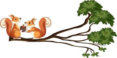 Squirrels on the tree branch vector