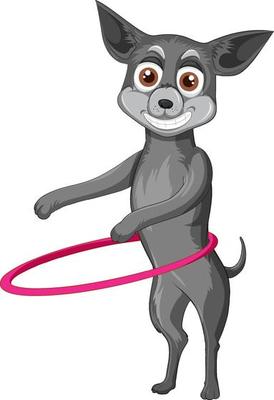 A Happy dog play hula hoop on white background