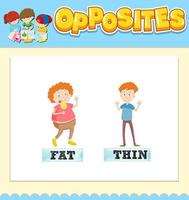 Opposite words for fat and thin vector