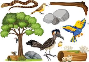 Different kinds of wild animals collection vector