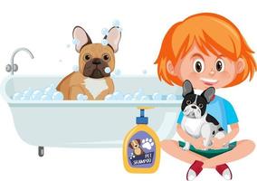 Happy girl washing her french bulldog on white background vector