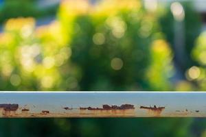 Rusty iron railing against a bokeh background of trees. photo