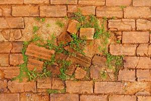 orange brick block with grass growth between cleft of brick block photo