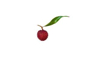 Fresh lychees on white background photo