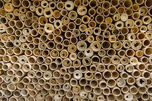 Beautifully arranged bamboo cylinder pattern photo