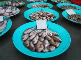 Fresh small fish in a dish for sale in market photo
