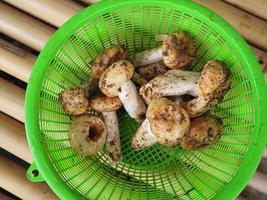 Top view of mushroom in green basket photo