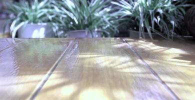 Light and shadow of ornamental plants on a wooden floor. photo