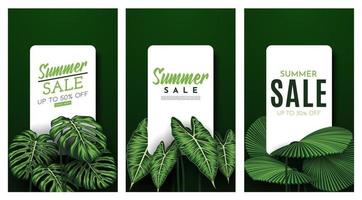 banner de venta de verano con fondo de hojas tropicales. ilustración vectorial vector