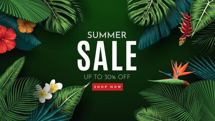 Summer Sale Banner With Tropical Leaves Background. Vector Illustration