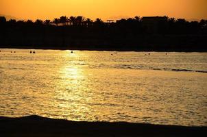 puesta de sol con playa junto al mar y palmeras foto